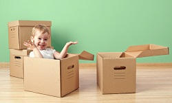 sw1 packers and movers waterloo